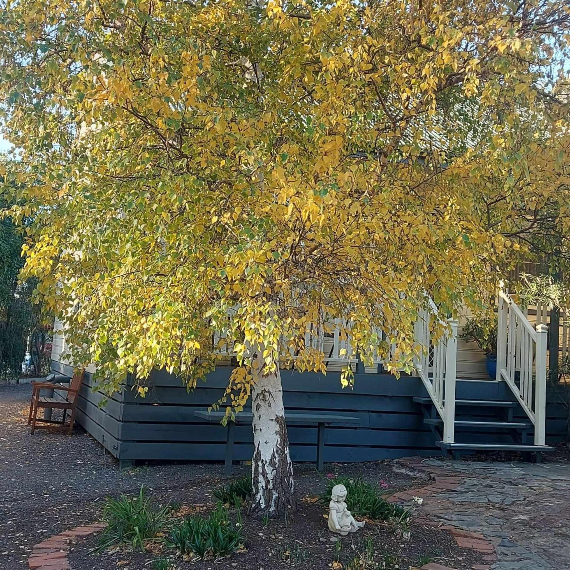 Avoca Cottages Victoria Kültér fotó